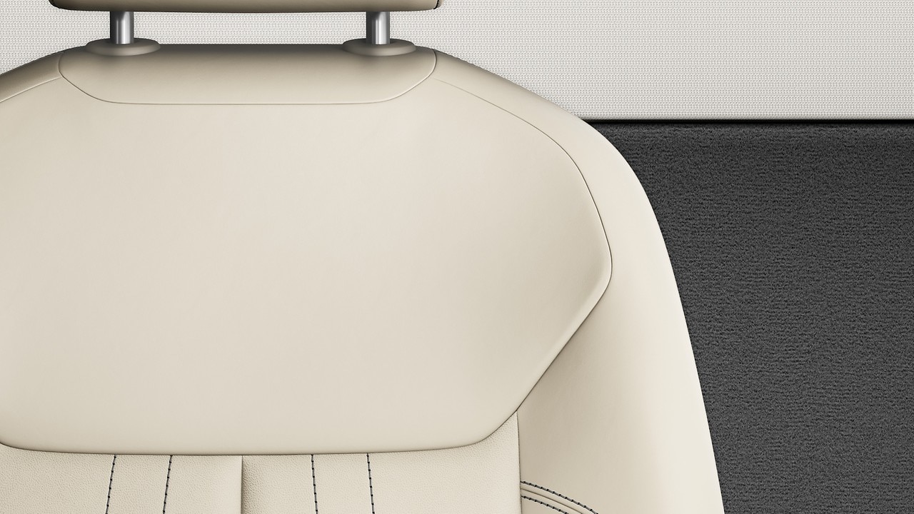 Vehicle interior color