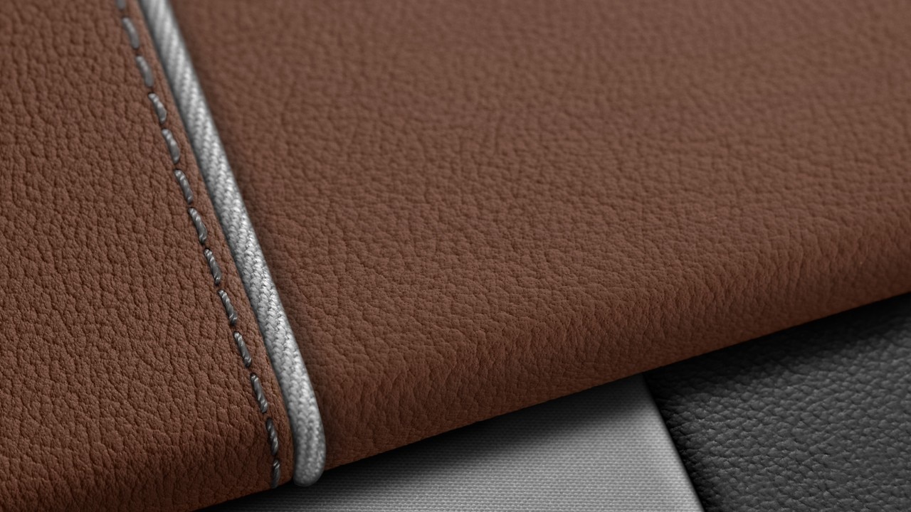 Vehicle interior color