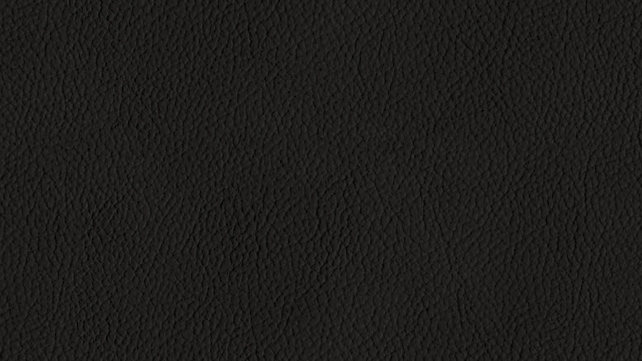 Vehicle interior color