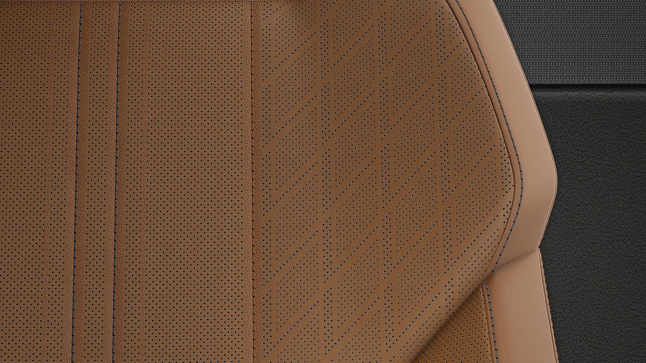 Vehicle interior color