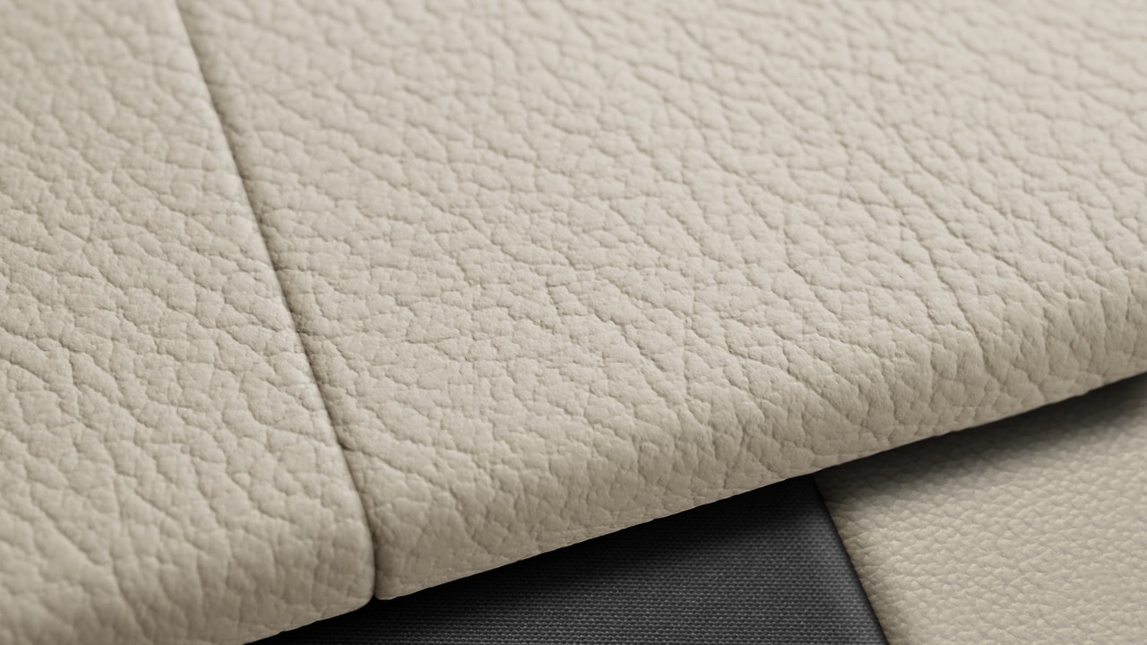 Vehicle interior color