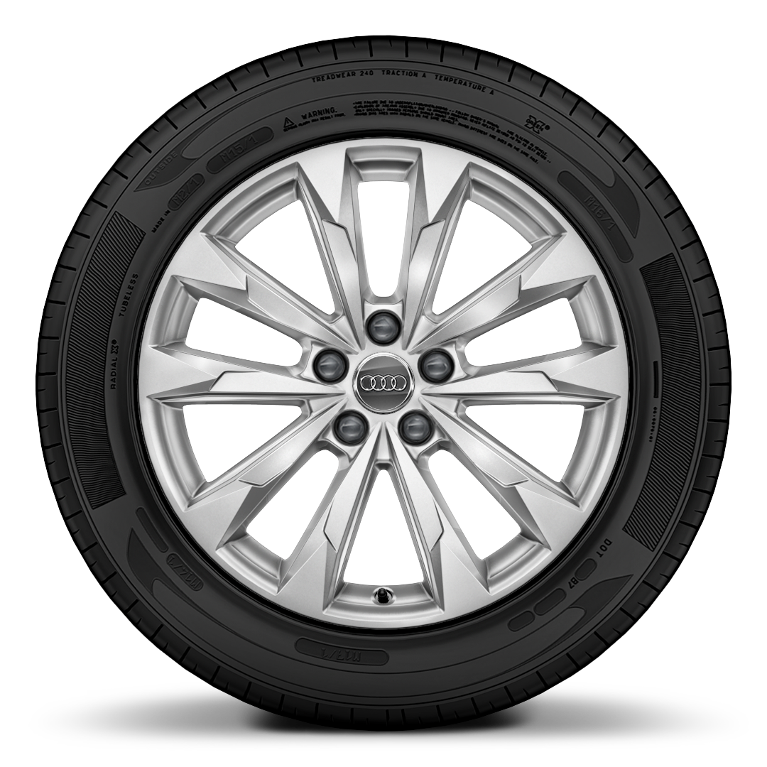Jantes de liga leve de 18" com 5 bra&ccedil;os duplos e pneus 235/55 R18