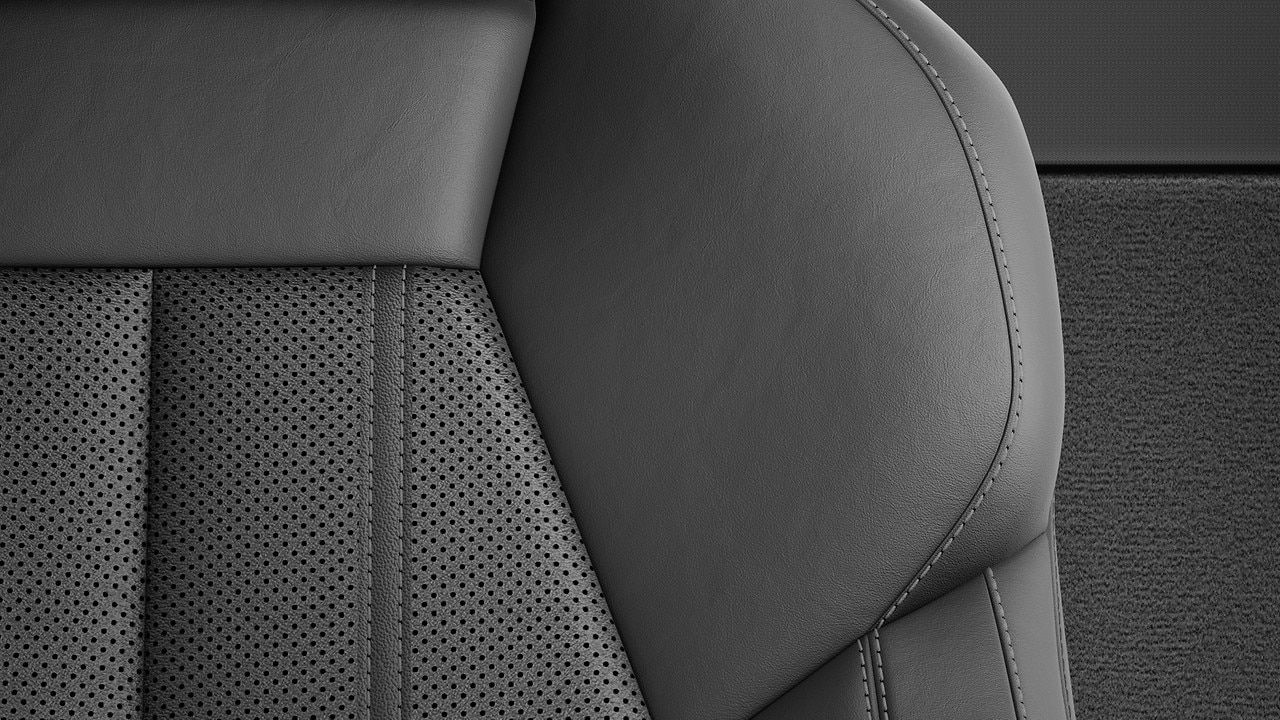 Vehicle interior color