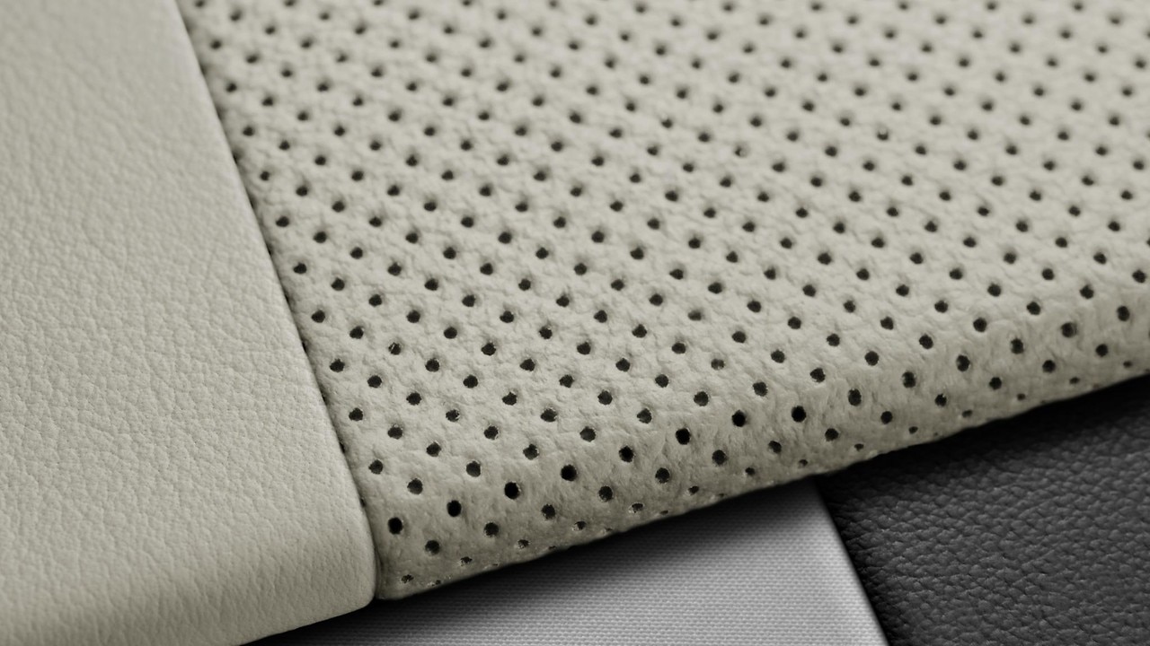 Vehicle interior color