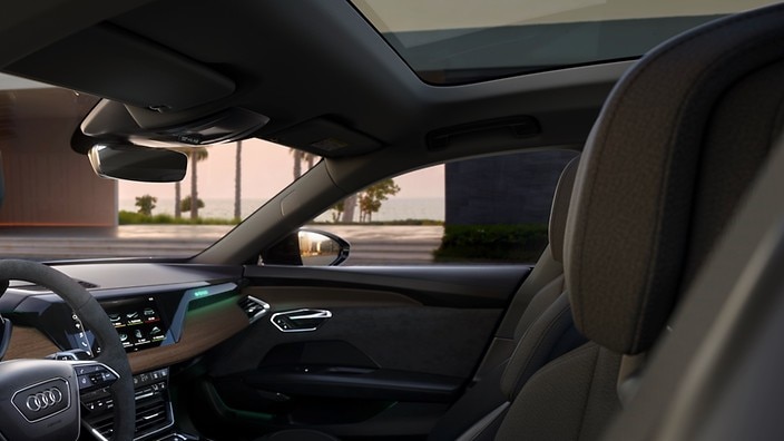 Panoramic glass roof (fixed)