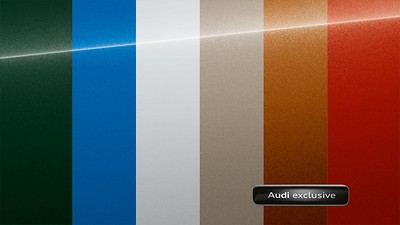 Decorative inserts, color painted, Audi exclusive