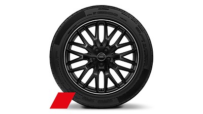 Räder Audi Sport, 10-Y-Speichen, schwarz, glanzgedreht, 9,0Jx20, Winterreifen 285/45 R20