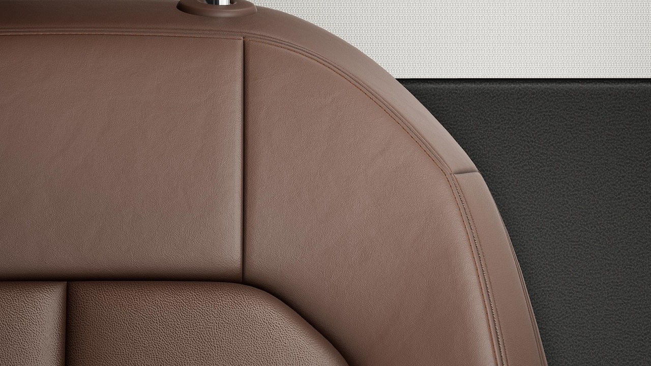 Vehicle interior color