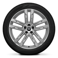 20&quot; 5-double spoke Galvano silver alloy wheels 