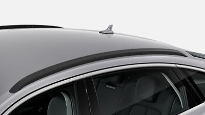 Roof rails in black (forces  High-gloss black exterior styling package)
