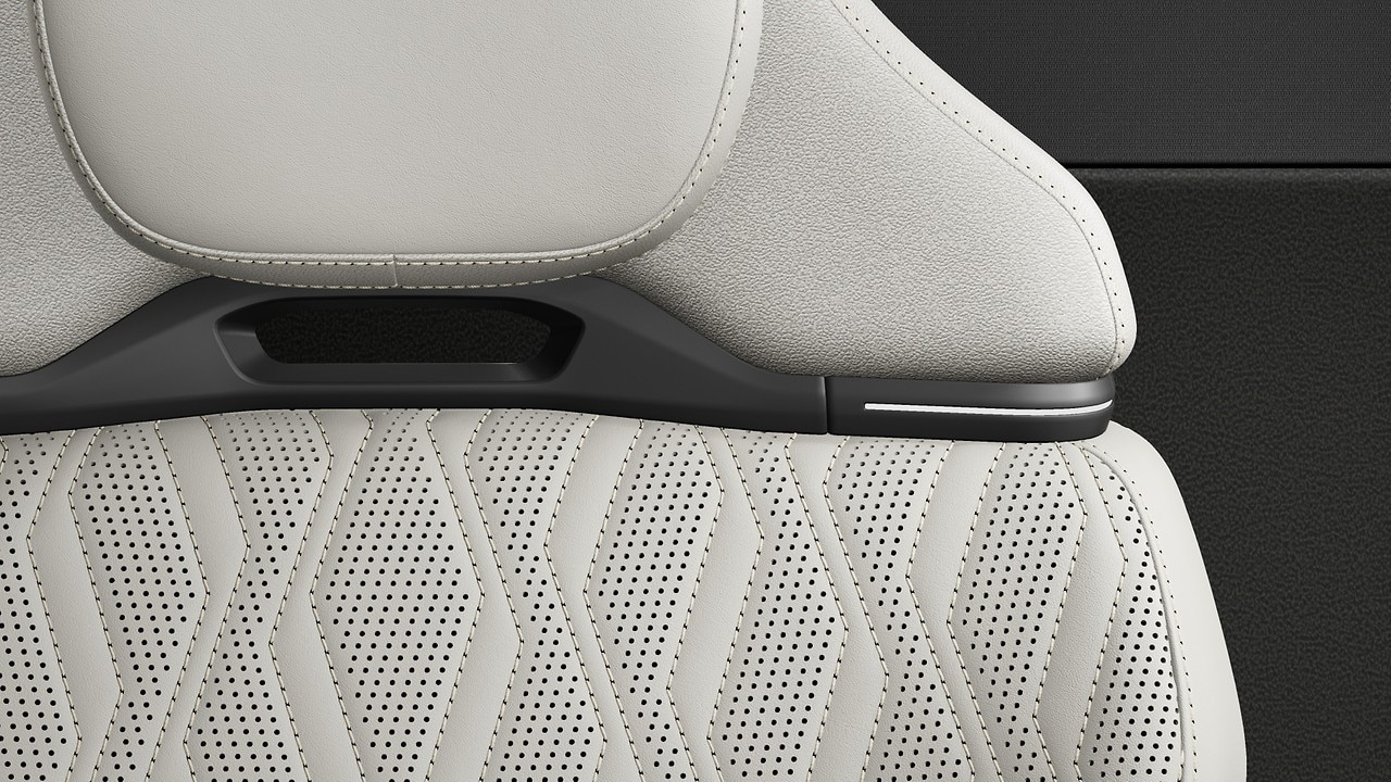 Vehicle interior color