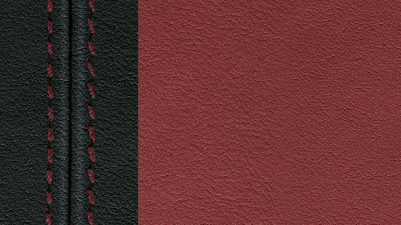 Vehicle interior color