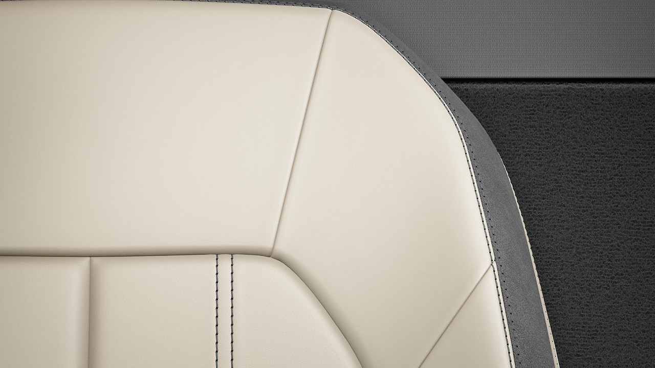Vehicle interior color