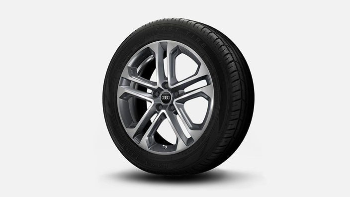 19" 5-double-spoke design wheels, bicolor finish