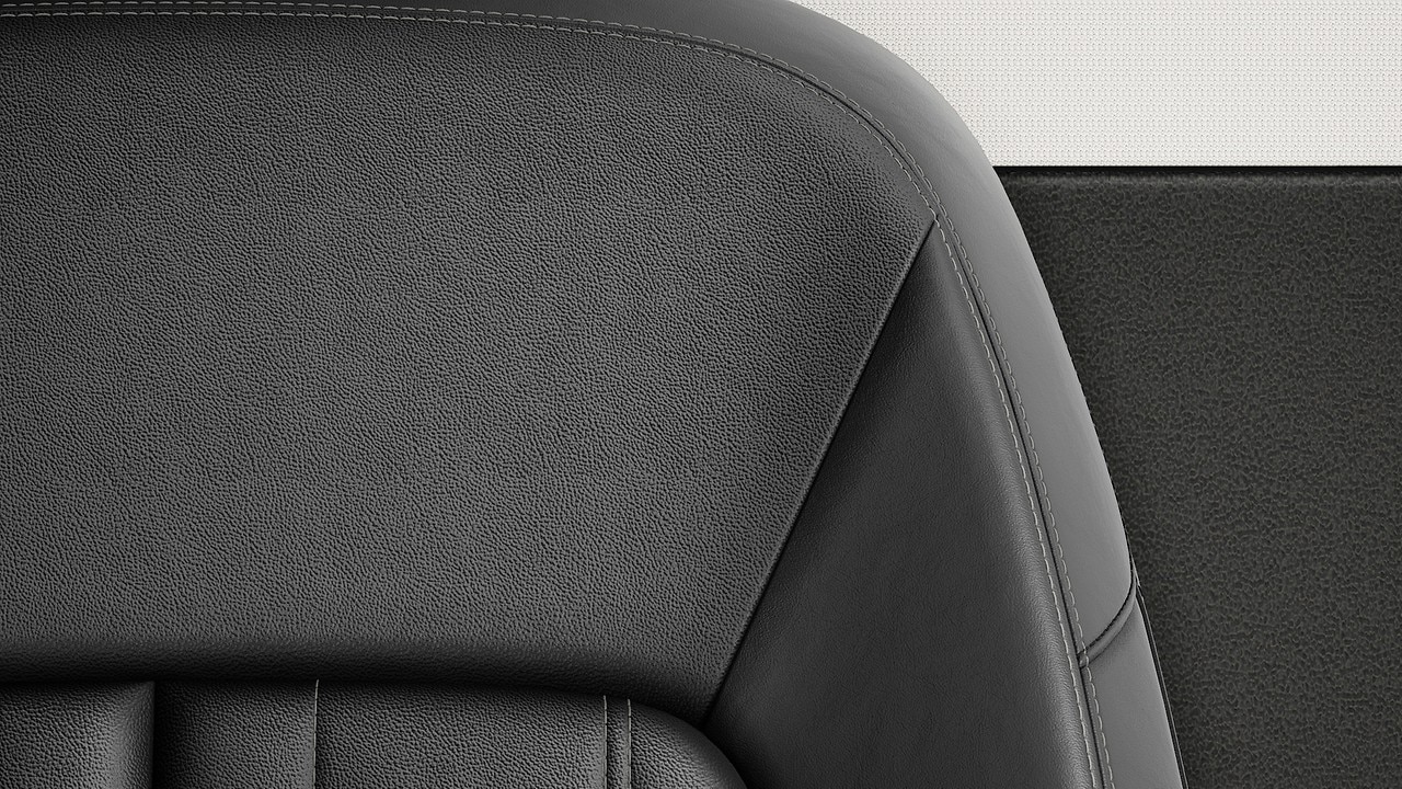 Vehicle interior color