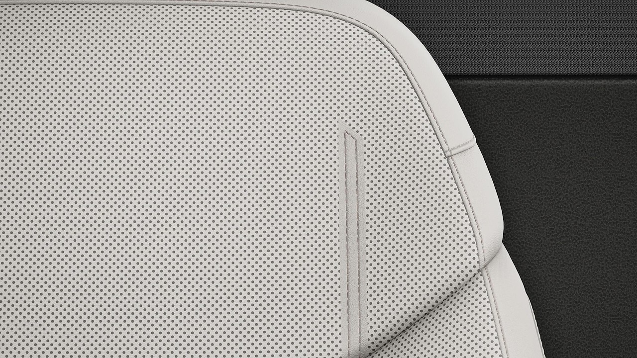 Vehicle interior color
