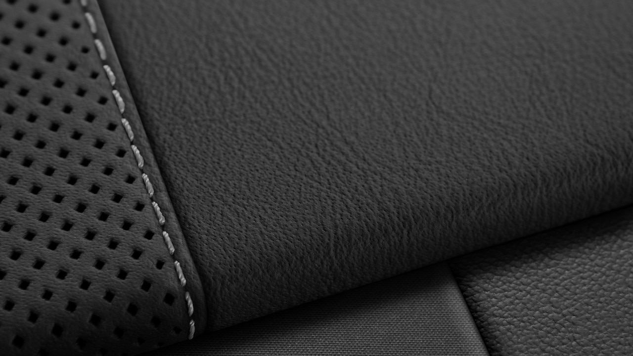 Vehicle interior color