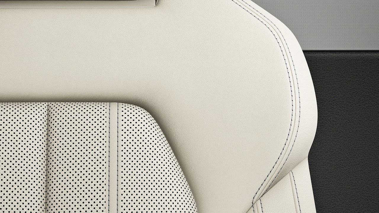 Vehicle interior color