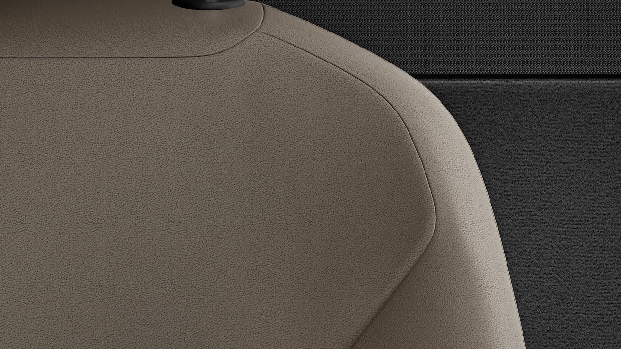 Vehicle interior color