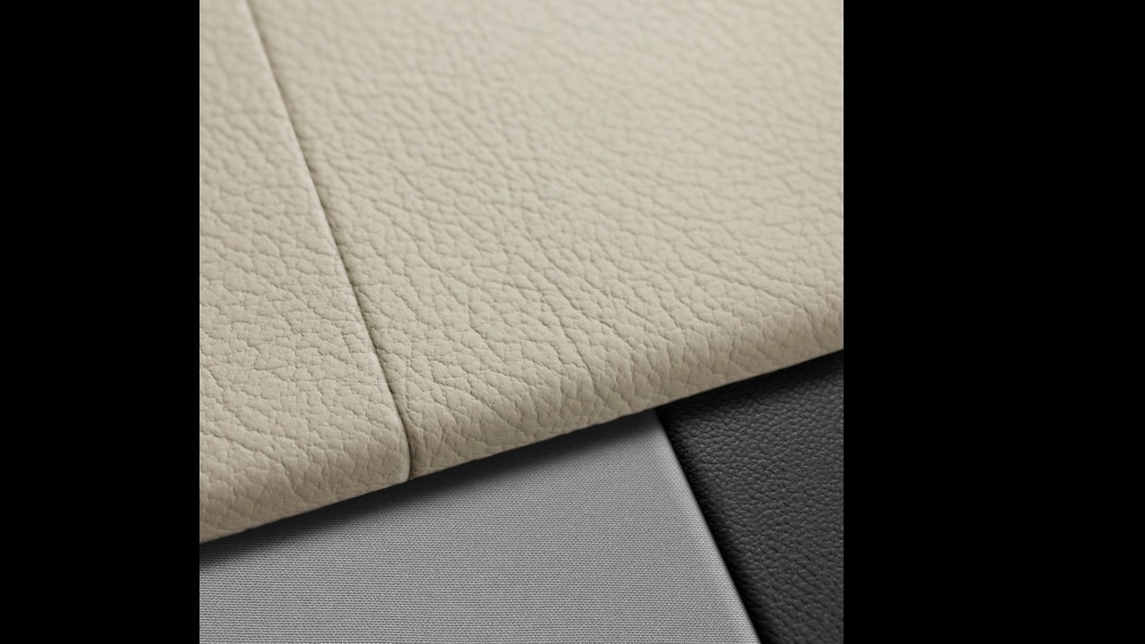 Vehicle interior color