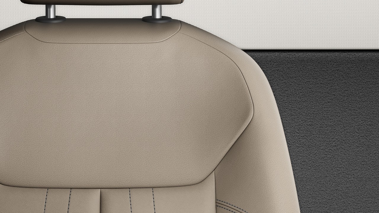 Vehicle interior color