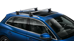 Carrier unit, for vehicles with roof rails