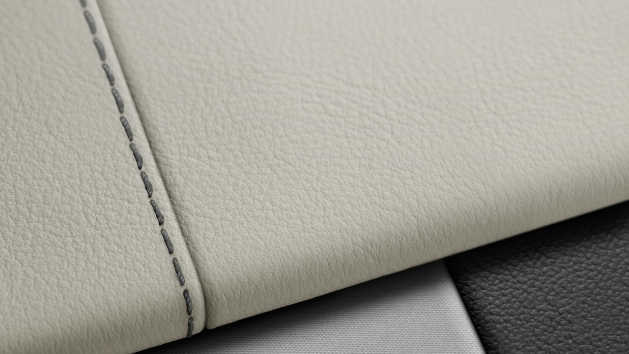 Vehicle interior color