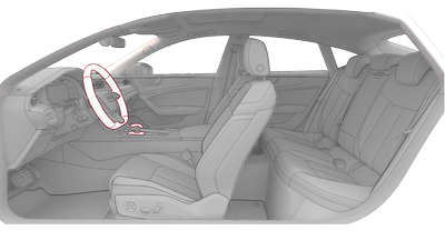 Elementos de comando em couro Audi exclusive