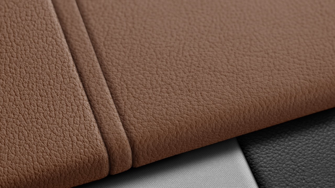 Vehicle interior color