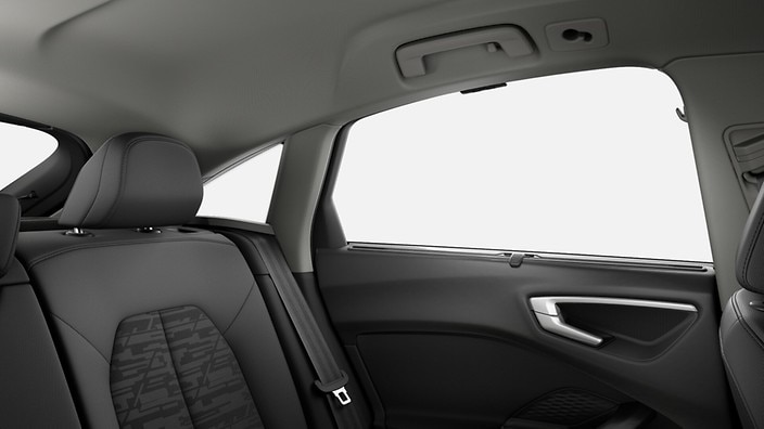 Manual blinds for rear door windows