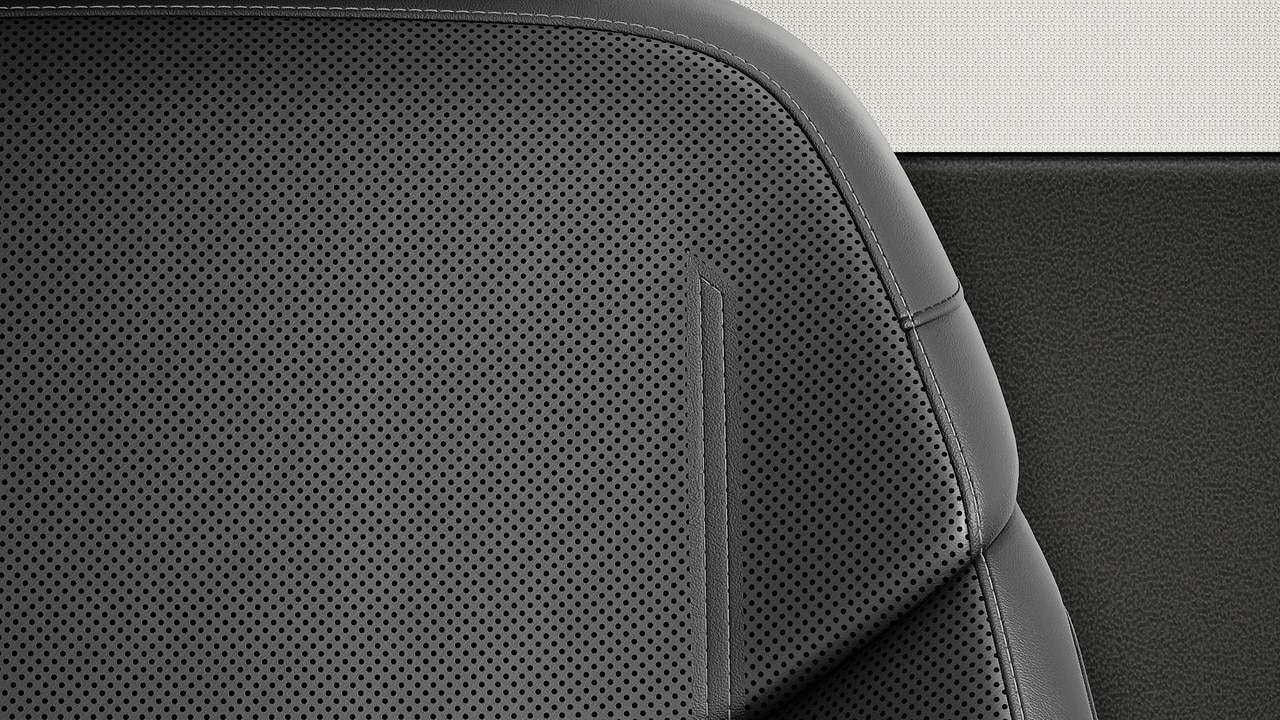 Vehicle interior color
