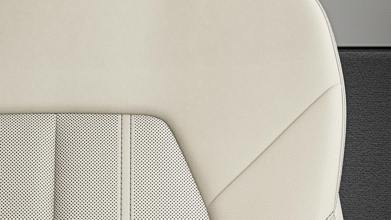 Vehicle interior color