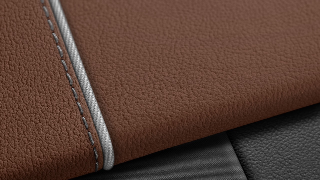 Vehicle interior color