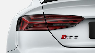 RS dynamics package
