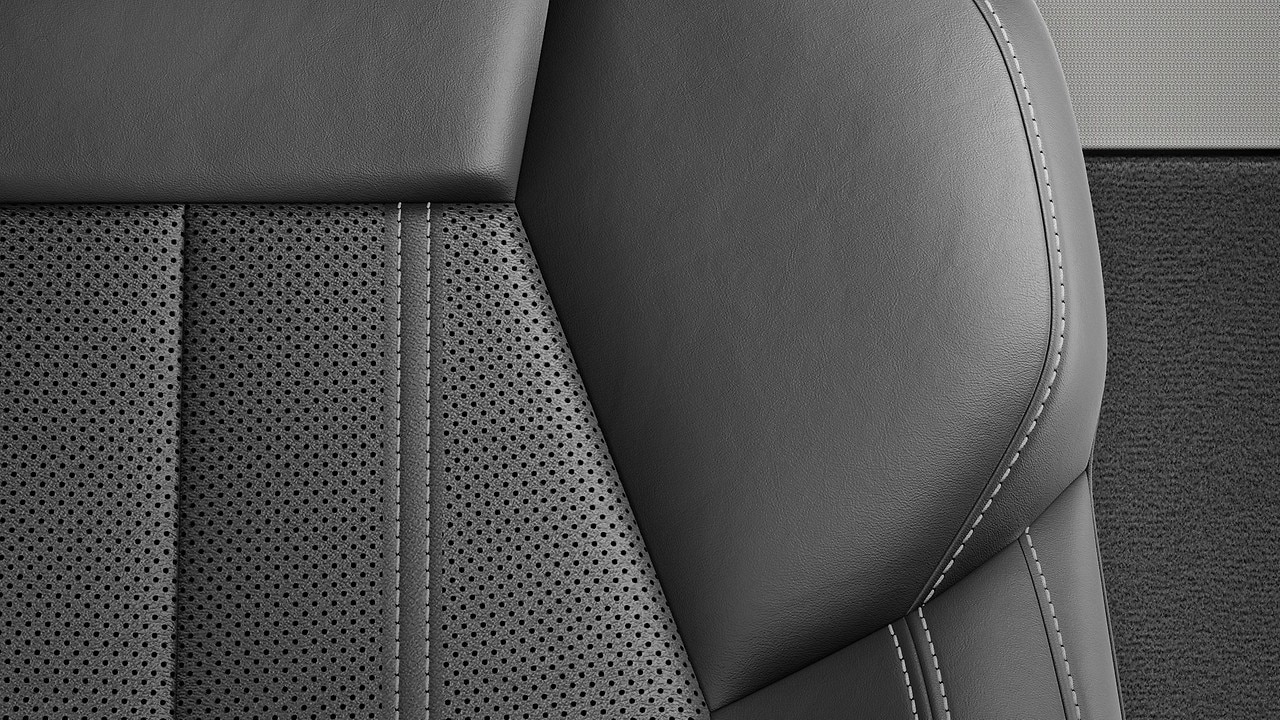 Vehicle interior color