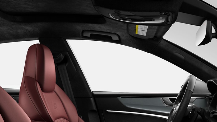 Black Alcantara® headliner