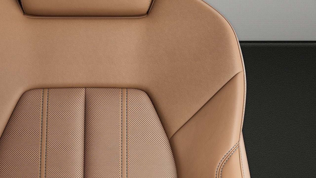 Vehicle interior color