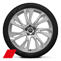 21&quot; x 9.0J Audi Sport wheels, 7-arm dynamic style, platinum grey