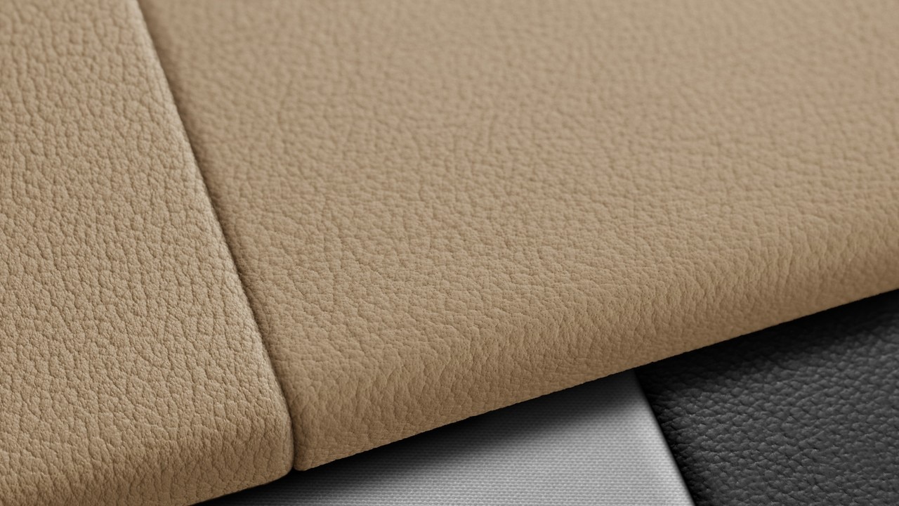 Vehicle interior color