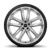 Jantes de liga leve Audi Sport 21" com 5 bra&ccedil;os duplos e pneus 255/35 R21