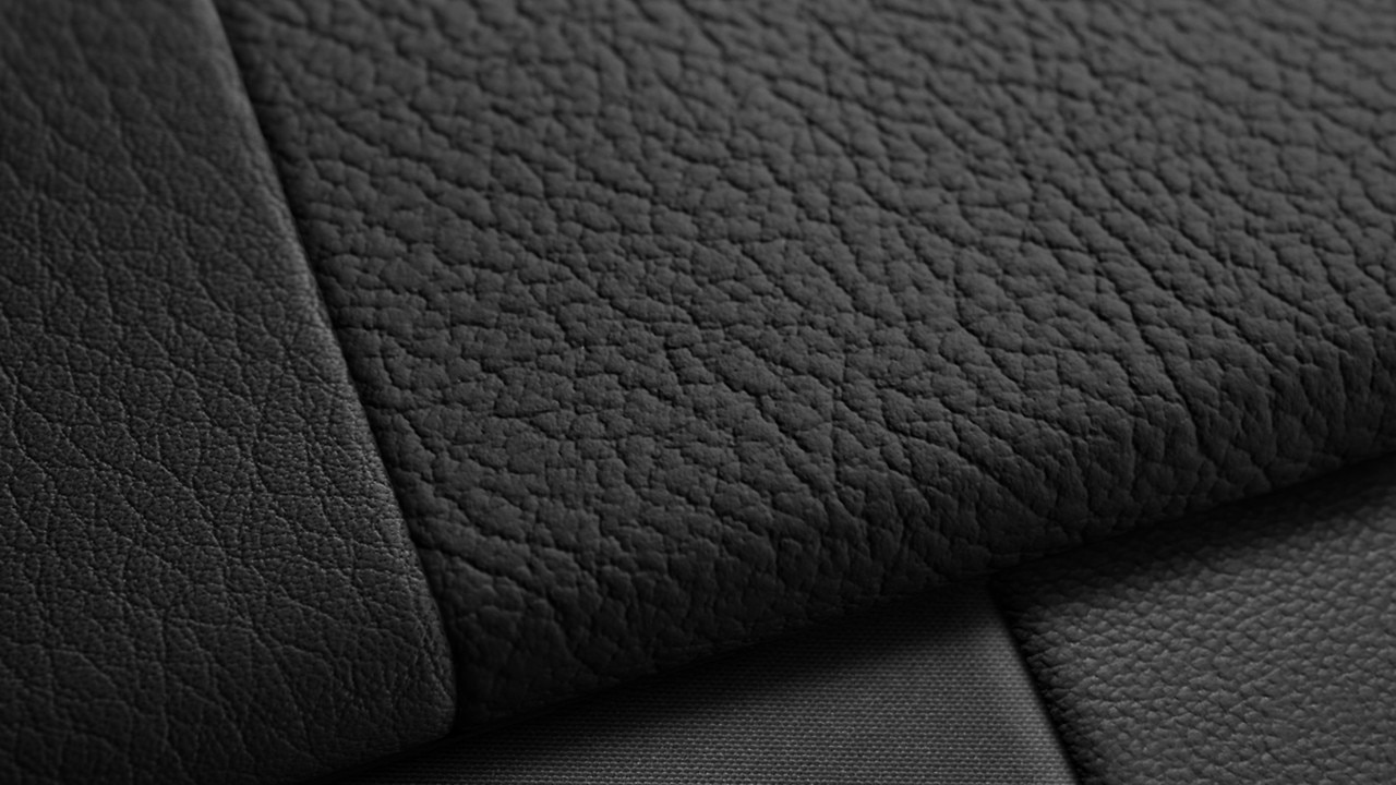 Vehicle interior color