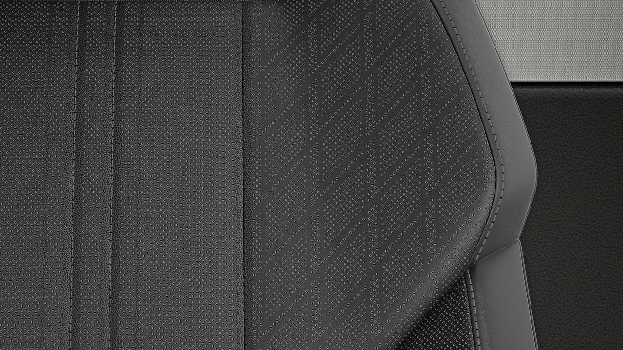 Vehicle interior color