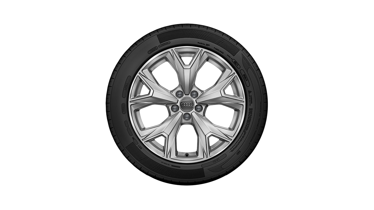 Rad, 5-Y-Speichen, 7,0Jx17, Winterreifen 205/55 R17 95V XL