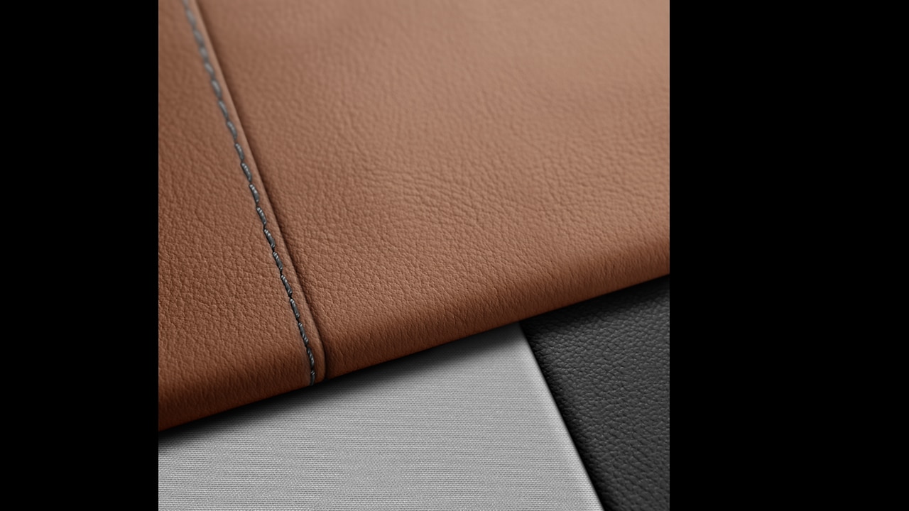 Vehicle interior color