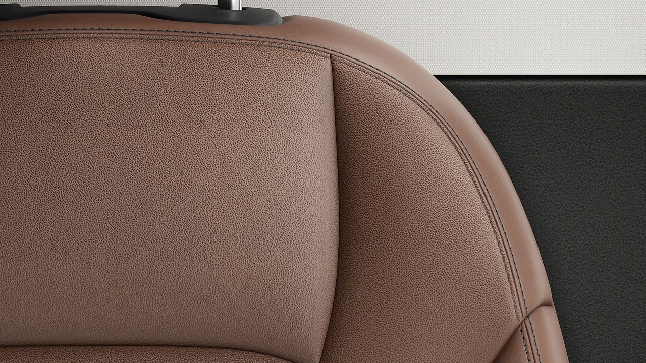 Vehicle interior color