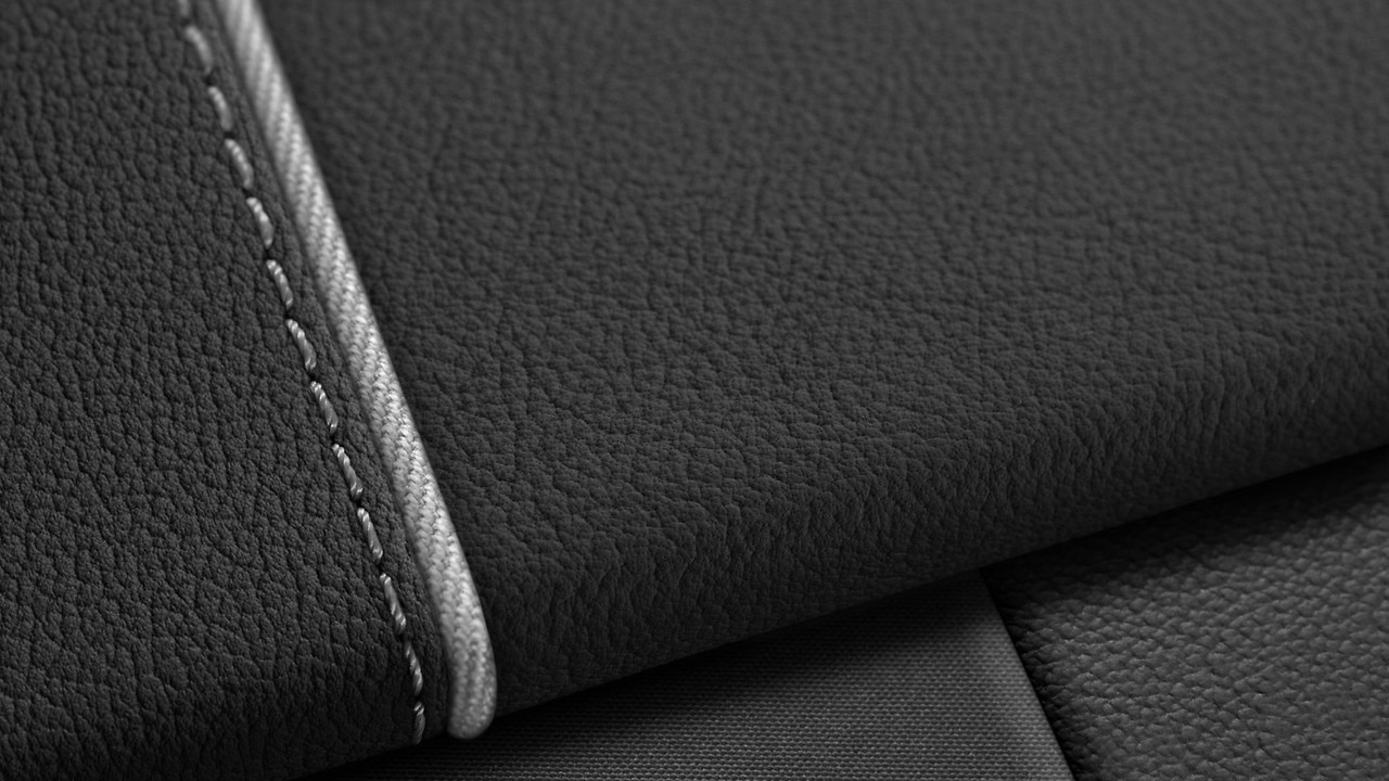 Vehicle interior color