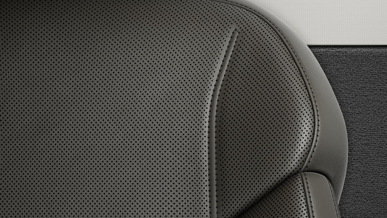 Vehicle interior color