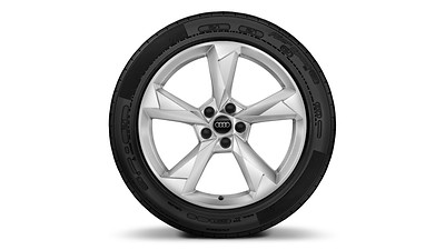 Wheels, 5-arm dynamic style, 7.0J x 19, 235/50 R19 snow tires