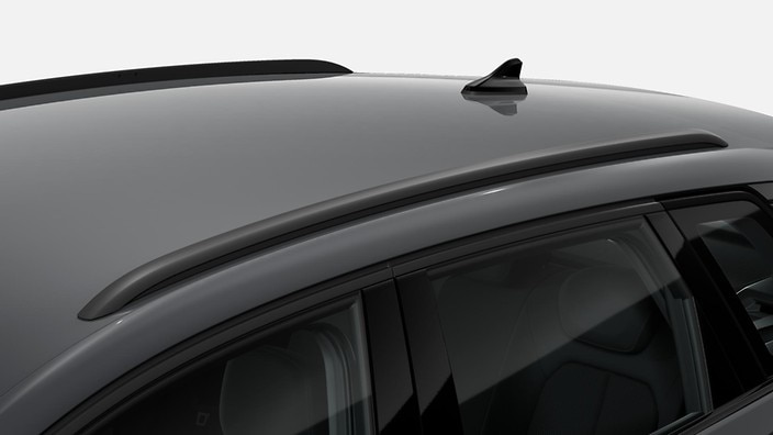 Black roof rails