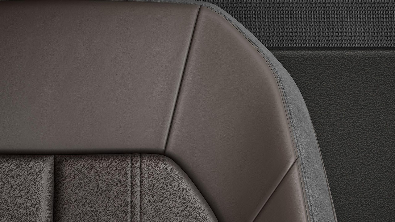 Vehicle interior color
